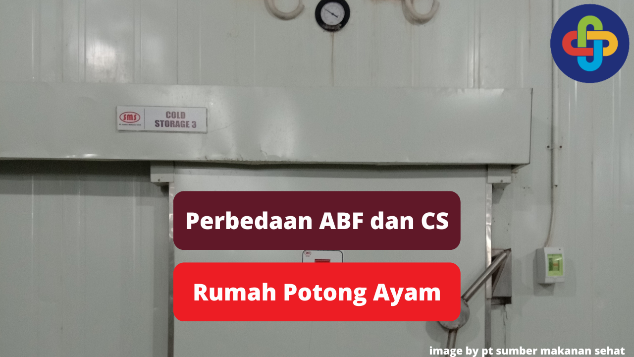 Berikut Ini Perbedaan ABF dan CS di Rumah Potong Ayam